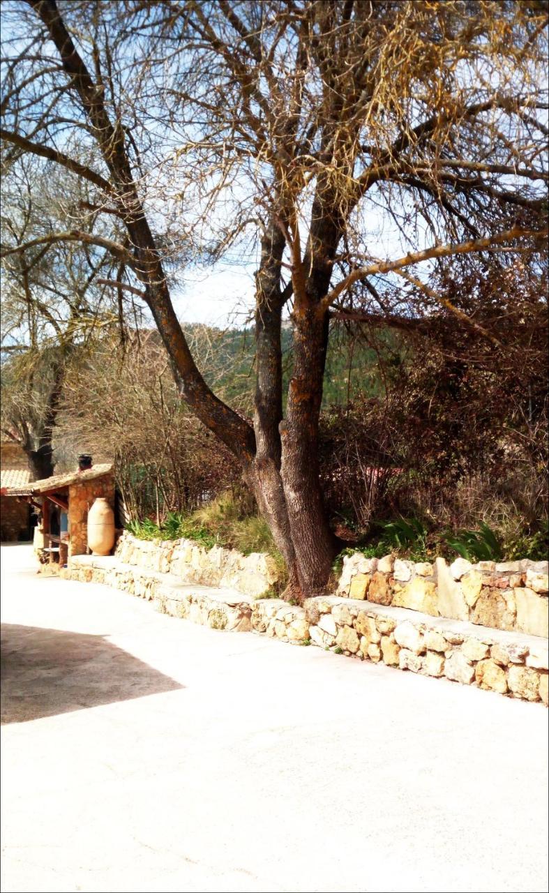Riópar Casas Rurales Picos Del Oso מראה חיצוני תמונה