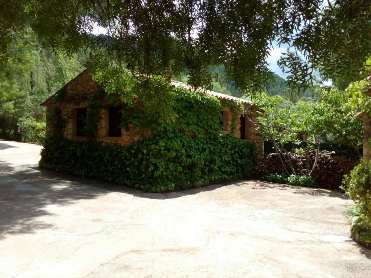 Riópar Casas Rurales Picos Del Oso מראה חיצוני תמונה