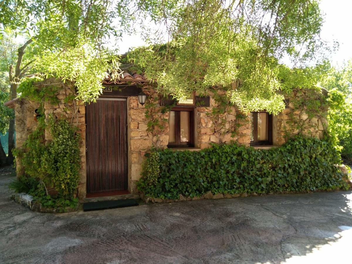 Riópar Casas Rurales Picos Del Oso מראה חיצוני תמונה