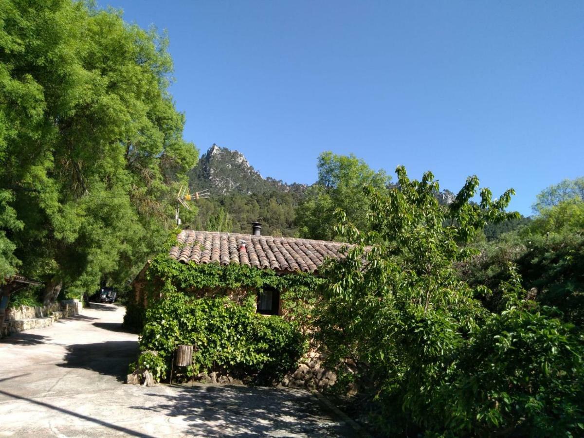 Riópar Casas Rurales Picos Del Oso מראה חיצוני תמונה